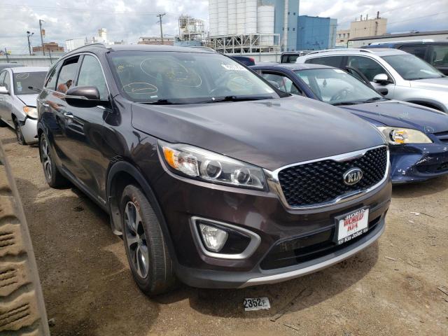KIA SORENTO EX 2016 with VIN 5XYPHDA50GG031049 - Photo from auction