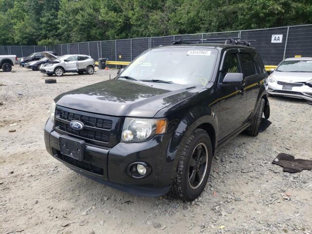 Photo 2 from auction – 2011 FORD ESCAPE XLT with VIN 1FMCU0D7XBKA66549