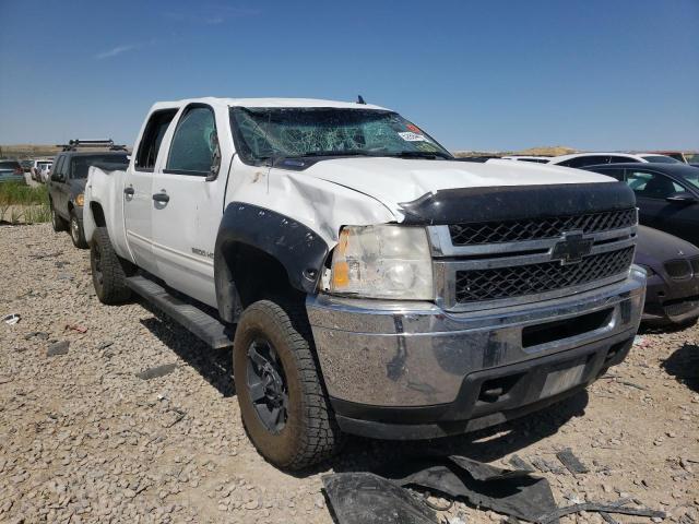 CHEVROLET SILVERADO 2011 with VIN 1GC1KXC81BF237038 - Photo from auction