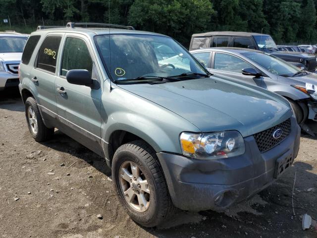 FORD ESCAPE XLT 2006 with VIN 1FMYU93196KD10642 - Photo from auction