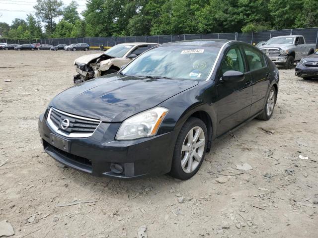 Photo 2 from auction – 2008 NISSAN MAXIMA SE with VIN 1N4BA41E48C839673