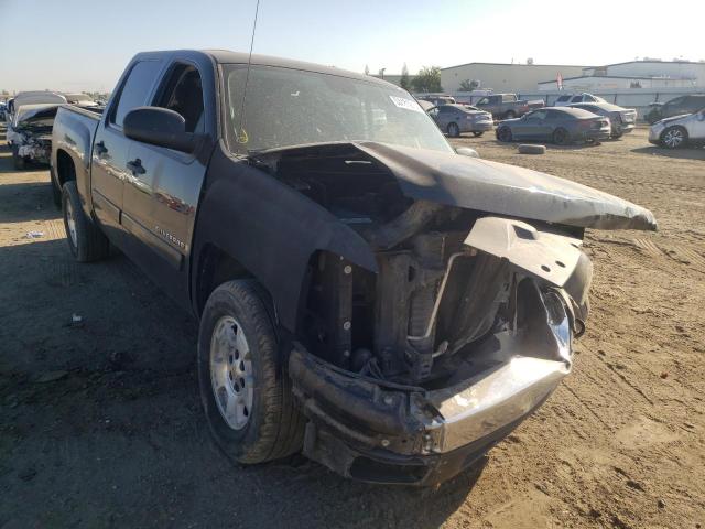 CHEVROLET SILVERADO 2008 with VIN 3GCEC13C98G122971 - Photo from auction