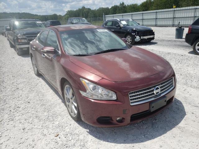 NISSAN MAXIMA S 2010 with VIN 1N4AA5AP3AC852603 - Photo from auction