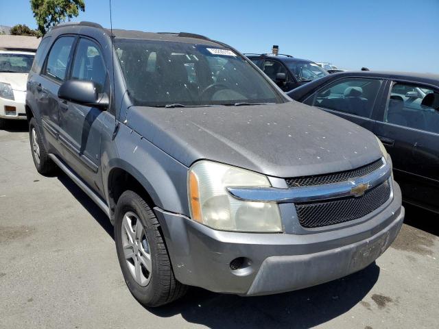 CHEVROLET EQUINOX LS 2006 with VIN 2CNDL13F466094166 - Photo from auction