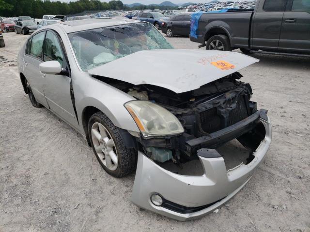 NISSAN MAXIMA SE 2004 with VIN 1N4BA41E44C843670 - Photo from auction