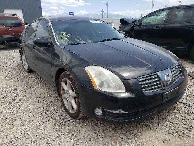 NISSAN MAXIMA 2004 with VIN 1N4BA41E04C930787 - Photo from auction