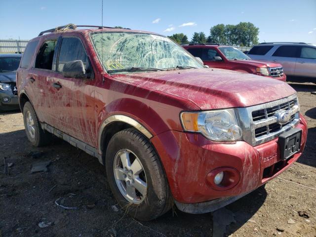 FORD ESCAPE XLT 2011 مع رقم تعريف المركبة 1FMCU0D73BKC20566 - صورة من المزاد