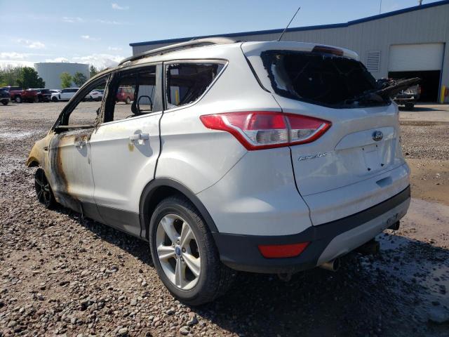 Photo 3 from auction – 2013 FORD ESCAPE SE with VIN 1FMCU9GX3DUC51369