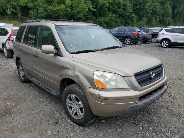 HONDA PILOT EXL 2005 with VIN 5FNYF18505B042264 - Photo from auction