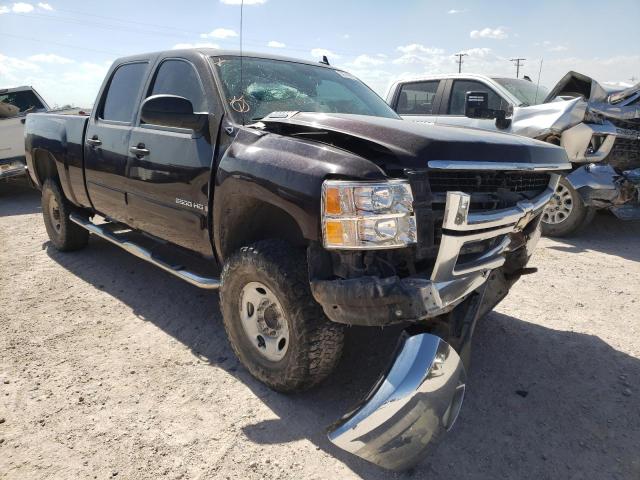 CHEVROLET SILVERADO 2008 with VIN 1GCHC23628F172593 - Photo from auction