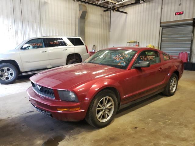 Photo 2 from auction – 2005 FORD MUSTANG with VIN 1ZVFT80N255114259