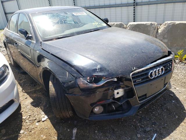 AUDI A4 PREMIUM 2010 with VIN WAUFFAFL2AN048407 - Photo from auction
