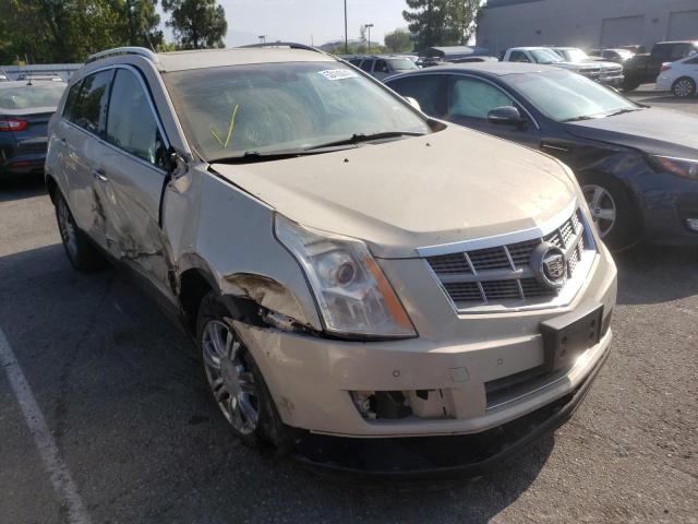 CADILLAC SRX LUXURY 2011 with VIN 3GYFNAEY5BS587298 - Photo from auction