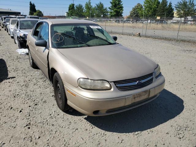 CHEVROLET MALIBU 2003 with VIN 1G1ND52J03M615957 - Photo from auction
