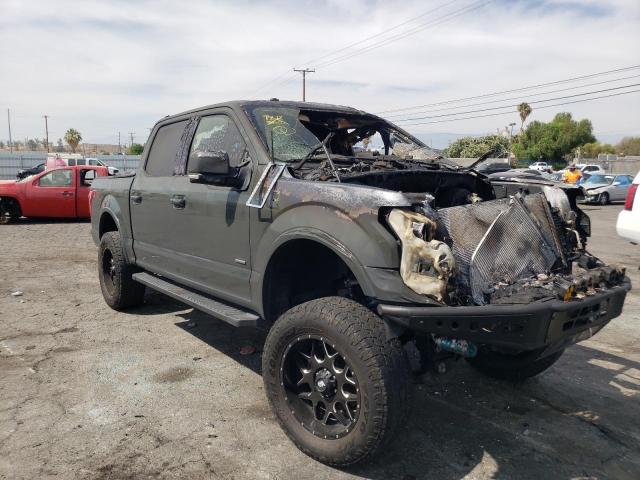 FORD F150 SUPER 2016 with VIN 1FTEW1EG3GKF52705 - Photo from auction