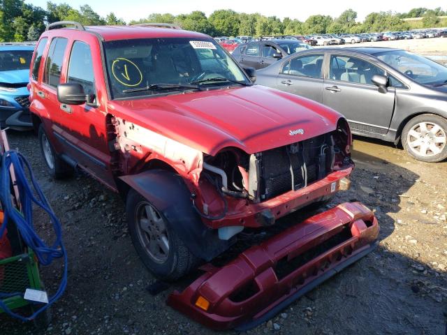 JEEP LIBERTY SP 2007 with VIN 1J4GL48K47W696317 - Photo from auction