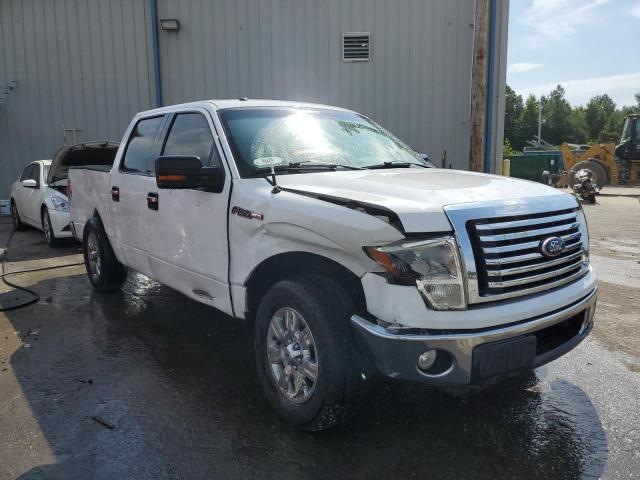 Photo 1 from auction – 2010 FORD F150 SUPER with VIN 1FTEW1C80AFD61724