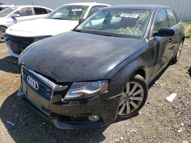 Photo 2 from auction – 2010 AUDI A4 PREMIUM with VIN WAUFFAFL2AN048407