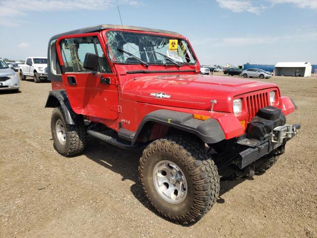 JEEP WRANGLER / 1995 with VIN 1J4FY19P3SP201615 - Photo from auction