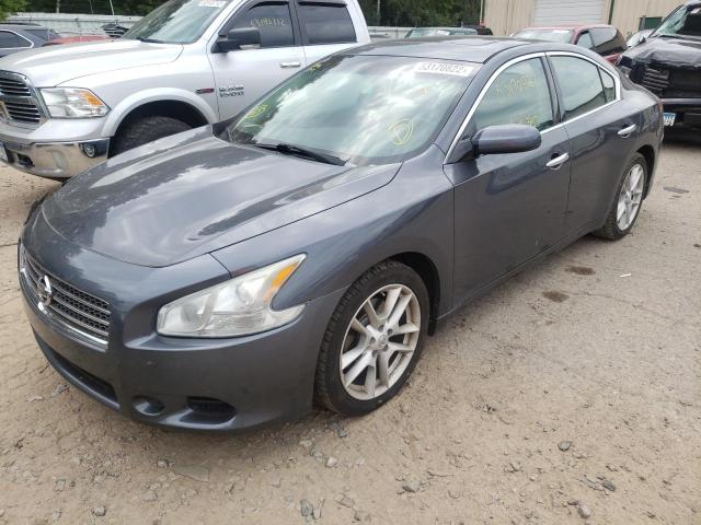 Photo 2 from auction – 2009 NISSAN MAXIMA S with VIN 1N4AA51E99C829837