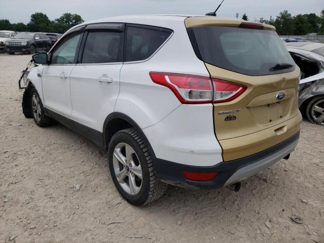 Photo 3 from auction – 2013 FORD ESCAPE SE with VIN 1FMCU9G97DUD00557