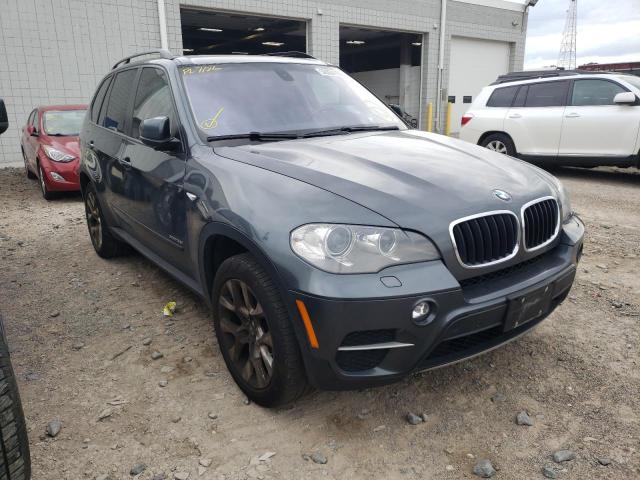 BMW X5 XDRIVE3 2013 with VIN 5UXZV4C51D0B02499 - Photo from auction