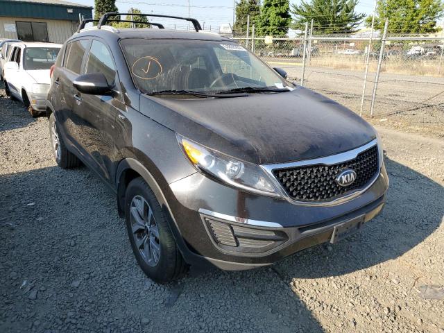 KIA SPORTAGE L 2014 with VIN KNDPBCAC8E7566036 - Photo from auction