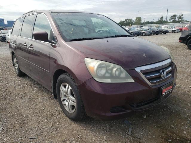 HONDA ODYSSEY EX 2007 with VIN 5FNRL38687B439502 - Photo from auction