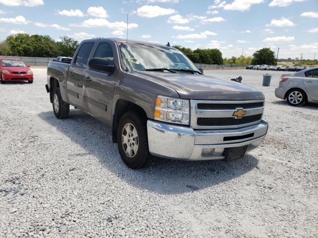 CHEVROLET SILVERADO 2013 with VIN 3GCPCSE00DG334718 - Photo from auction