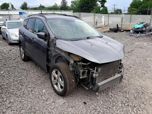 Photo 1 from auction – 2013 FORD ESCAPE SE with VIN 1FMCU9G99DUD25461