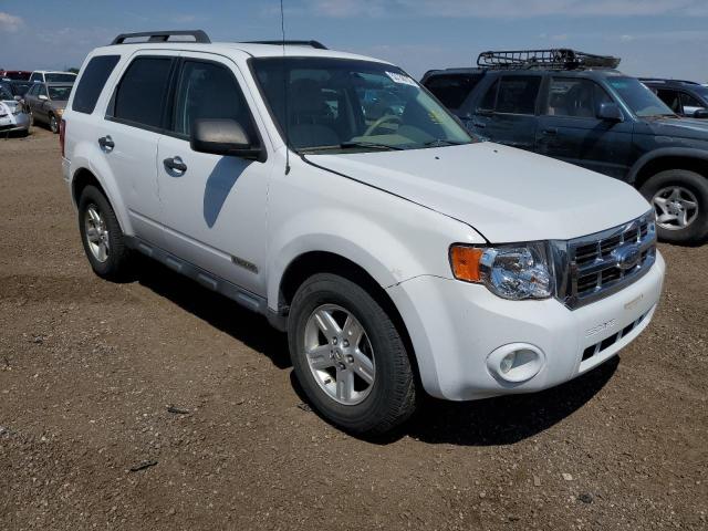 FORD ESCAPE HEV 2008 with VIN 1FMCU59H88KC31554 - Photo from auction