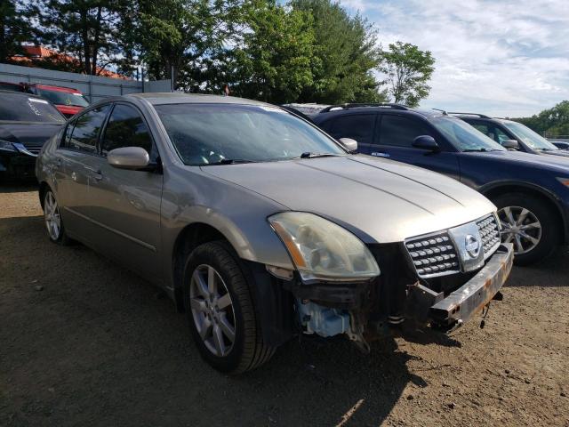 NISSAN MAXIMA SE 2006 with VIN 1N4BA41E06C863207 - Photo from auction