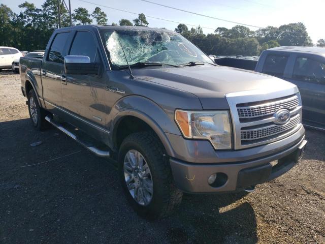 FORD F150 SUPER 2011 with VIN 1FTFW1ET7BFB61317 - Photo from auction