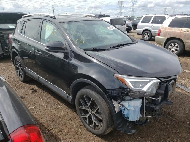 TOYOTA RAV4 SE 2016 with VIN 2T3JFREV4GW459355 - Photo from auction