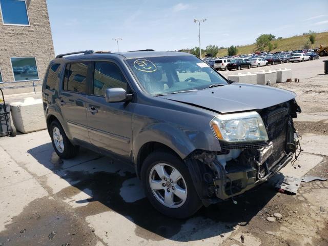 HONDA PILOT EXLN 2011 with VIN 5FNYF4H71BB063736 - Photo from auction