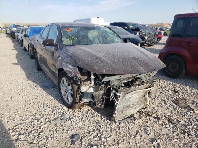 KIA OPTIMA LX 2016 with VIN 5XXGT4L31GG024884 - Photo from auction