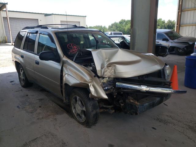 CHEVROLET TRAILBLAZE 2006 with VIN 1GNDS13S162359893 - Photo from auction