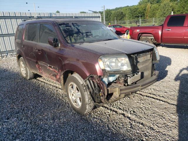 HONDA PILOT EXL 2011 with VIN 5FNYF3H57BB050370 - Photo from auction