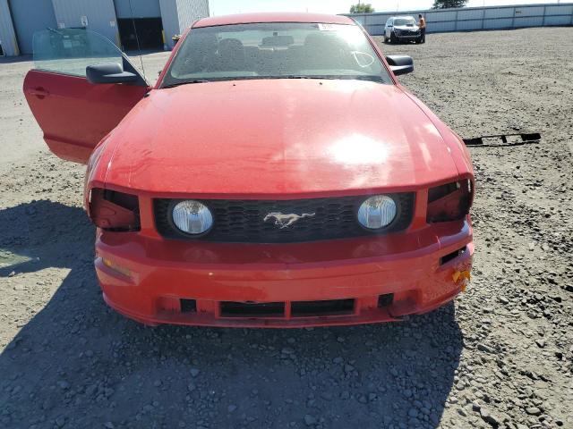 Photo 9 from auction – 2005 FORD MUSTANG GT with VIN 1ZVFT82H255211971
