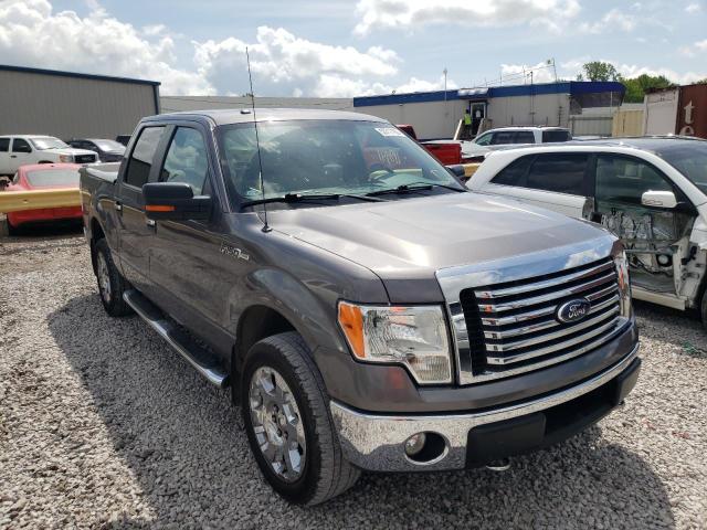 FORD F-150 2010 with VIN 1FTFW1EV8AKE75145 - Photo from auction