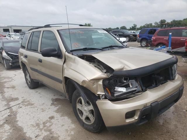 CHEVROLET TRAILBLAZE 2005 with VIN 1GNDT13SX52334390 - Photo from auction