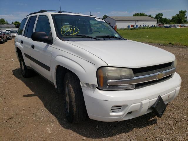 Photo 1 from auction – 2005 CHEVROLET TRAILBLAZE with VIN 1GNDT13S452176144
