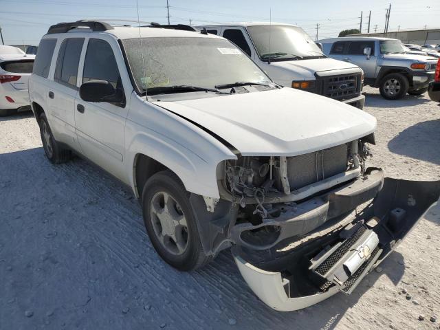 Photo 1 from auction – 2006 CHEVROLET TRAILBLAZE with VIN 1GNES16SX66173620