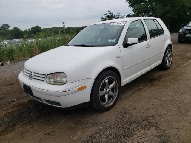 Photo 2 from auction – 2004 VOLKSWAGEN GOLF GLS with VIN 9BWGL61J244014745