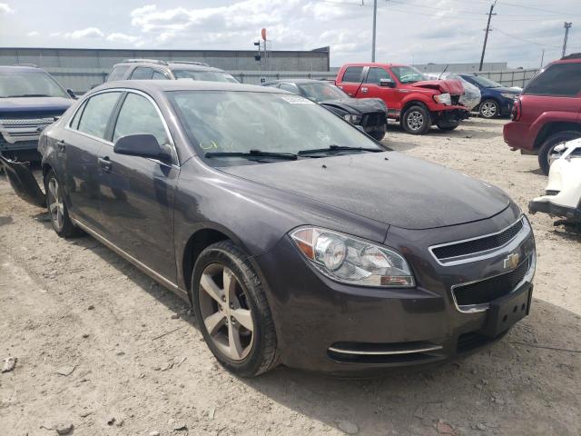 CHEVROLET MALIBU 1LT 2011 with VIN 1G1ZC5EU1BF120468 - Photo from auction