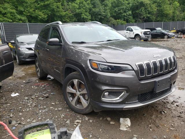 Photo 1 from auction – 2019 JEEP CHEROKEE L with VIN 1C4PJMDX2KD218060