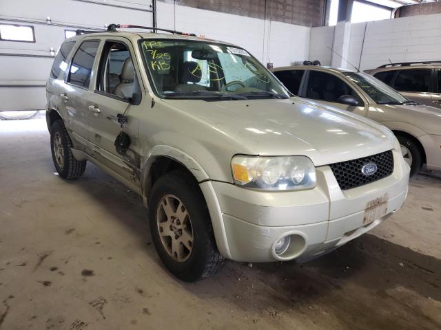 FORD ESCAPE LIM 2005 with VIN 1FMYU04115KB18737 - Photo from auction