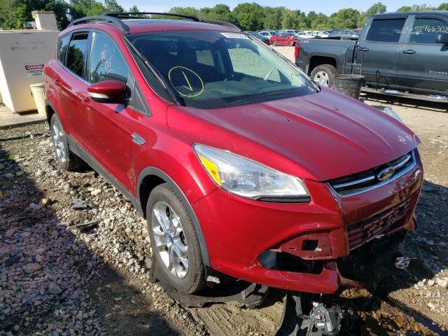 FORD ESCAPE SEL 2013 with VIN 1FMCU9H92DUB22782 - Photo from auction