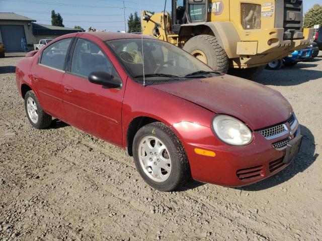 DODGE NEON SXT 2005 with VIN 1B3ES56C65D251511 - Photo from auction