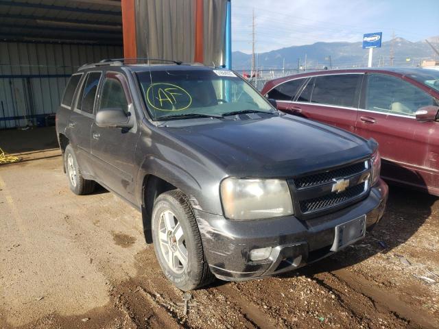 CHEVROLET TRAILBLAZE 2006 with VIN 1GNET13M462325059 - Photo from auction